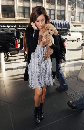 Прикачена снимка