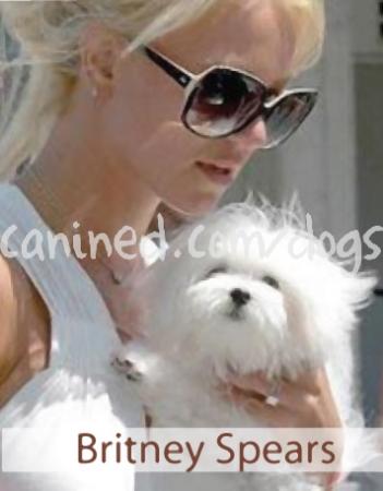 Прикачена снимка