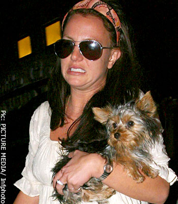 Прикачена снимка