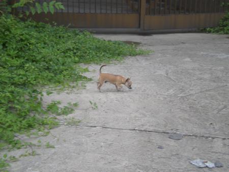 Прикачена снимка