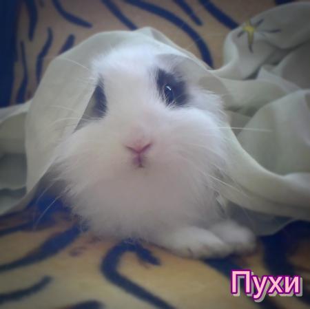 Прикачена снимка