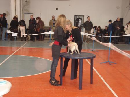 Прикачена снимка