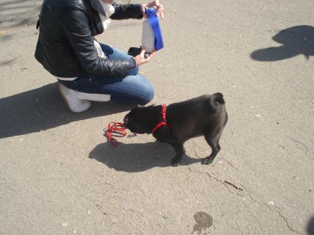 Прикачена снимка