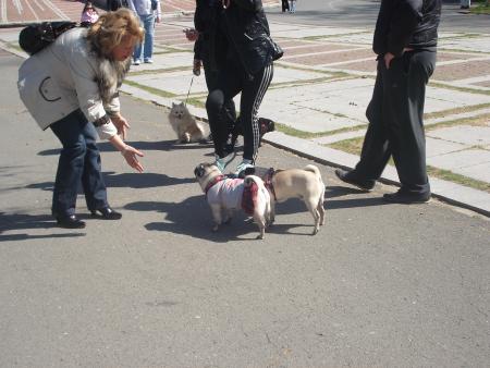 Прикачена снимка