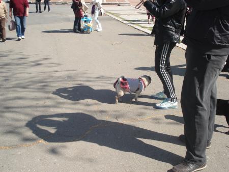 Прикачена снимка