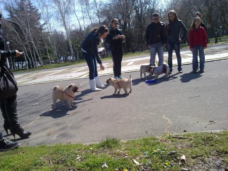 Прикачена снимка