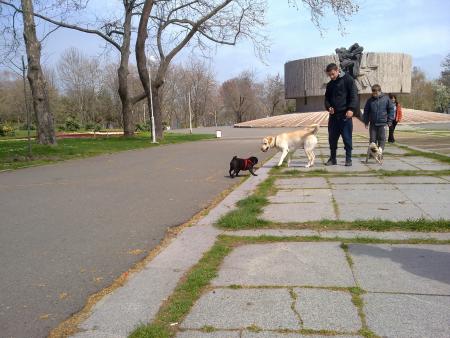 Прикачена снимка