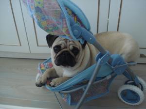 Прикачена снимка