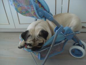 Прикачена снимка