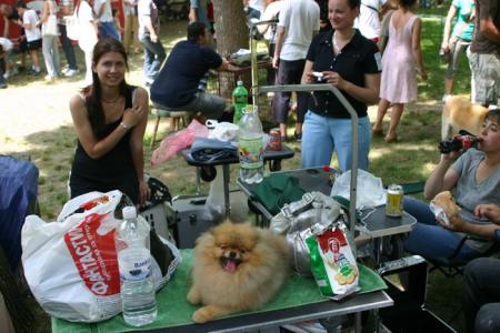 Прикачена снимка