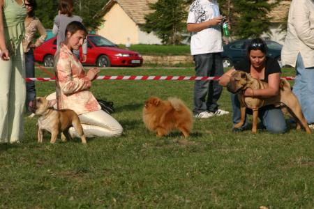 Прикачена снимка