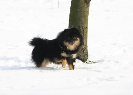 Прикачена снимка