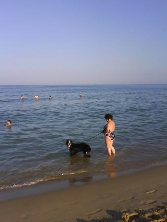 Прикачена снимка