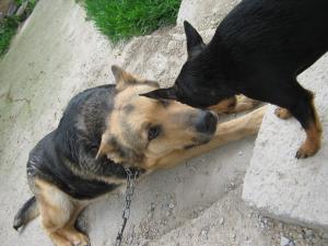 Прикачена снимка