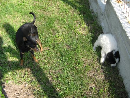 Прикачена снимка