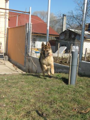 Прикачена снимка