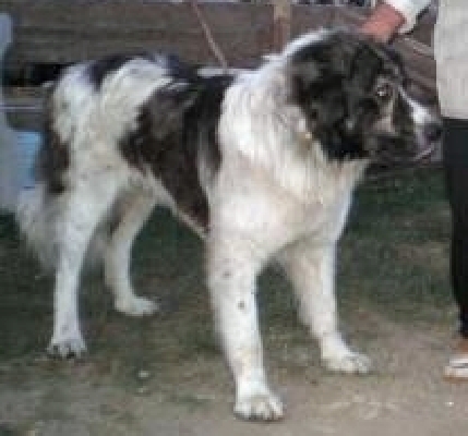 Прикачена снимка