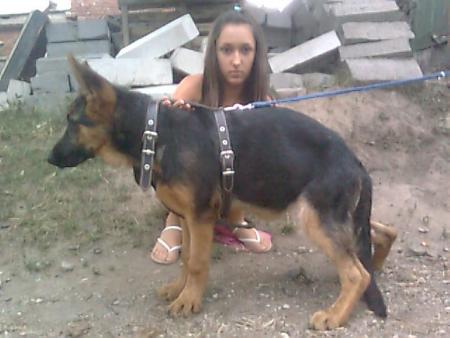 Прикачена снимка