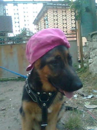 Прикачена снимка