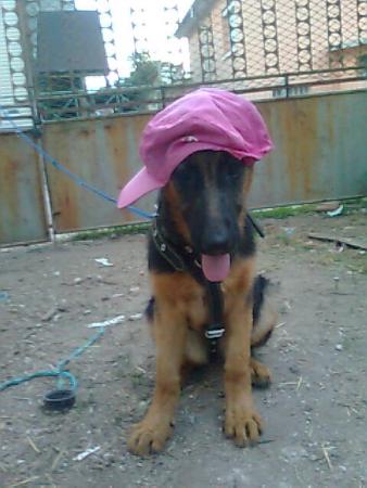 Прикачена снимка