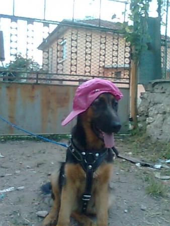 Прикачена снимка