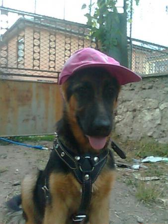Прикачена снимка