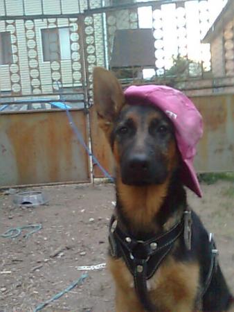 Прикачена снимка