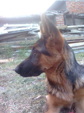 Прикачена снимка