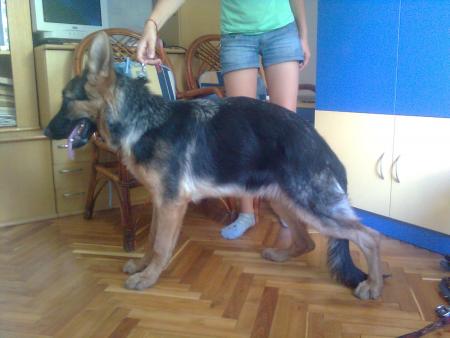 Прикачена снимка
