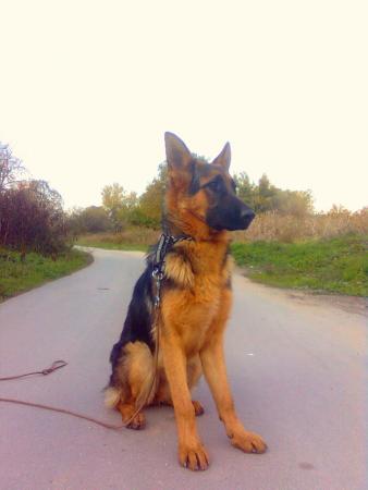 Прикачена снимка