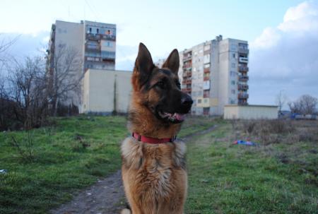 Прикачена снимка