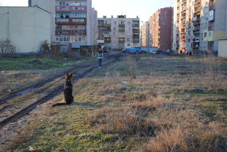 Прикачена снимка