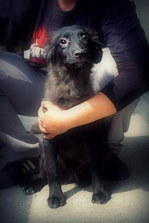 Прикачена снимка