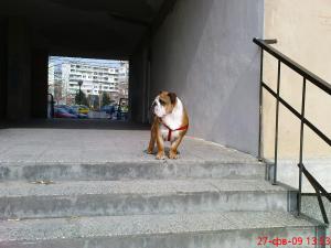 Прикачена снимка
