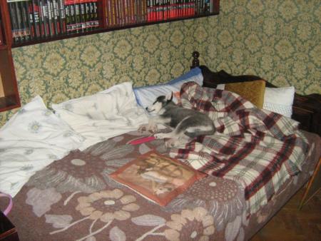 Прикачена снимка