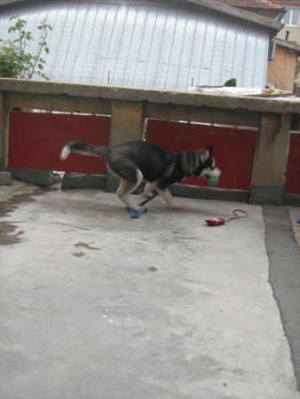 Прикачена снимка