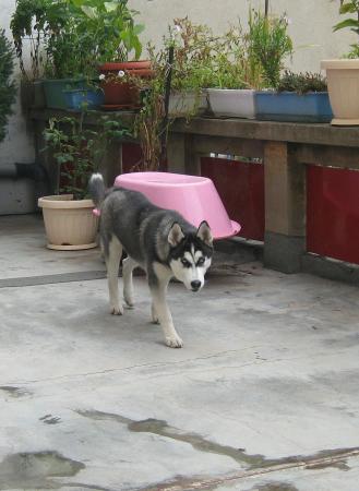 Прикачена снимка