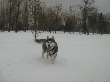 Прикачена снимка