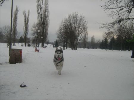 Прикачена снимка