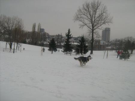 Прикачена снимка