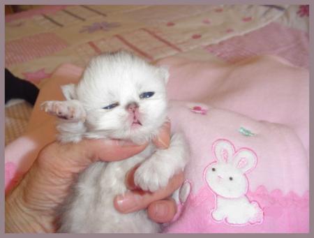 Прикачена снимка
