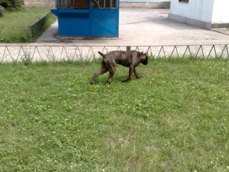 Прикачена снимка