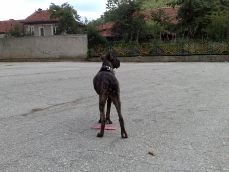 Прикачена снимка