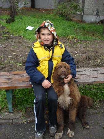 Прикачена снимка