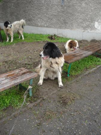 Прикачена снимка