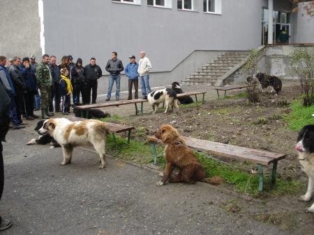 Прикачена снимка
