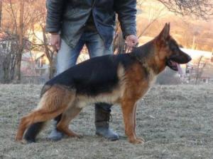 Прикачена снимка