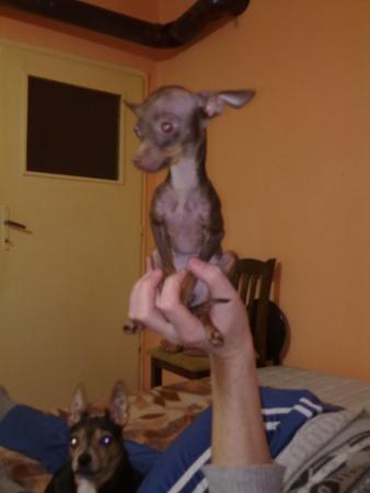 Прикачена снимка