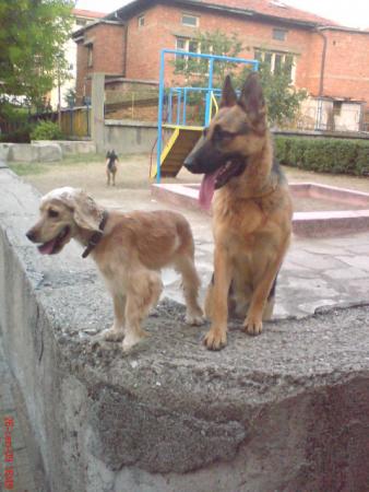 Прикачена снимка