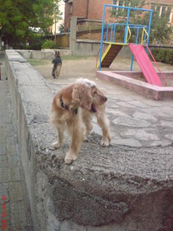 Прикачена снимка